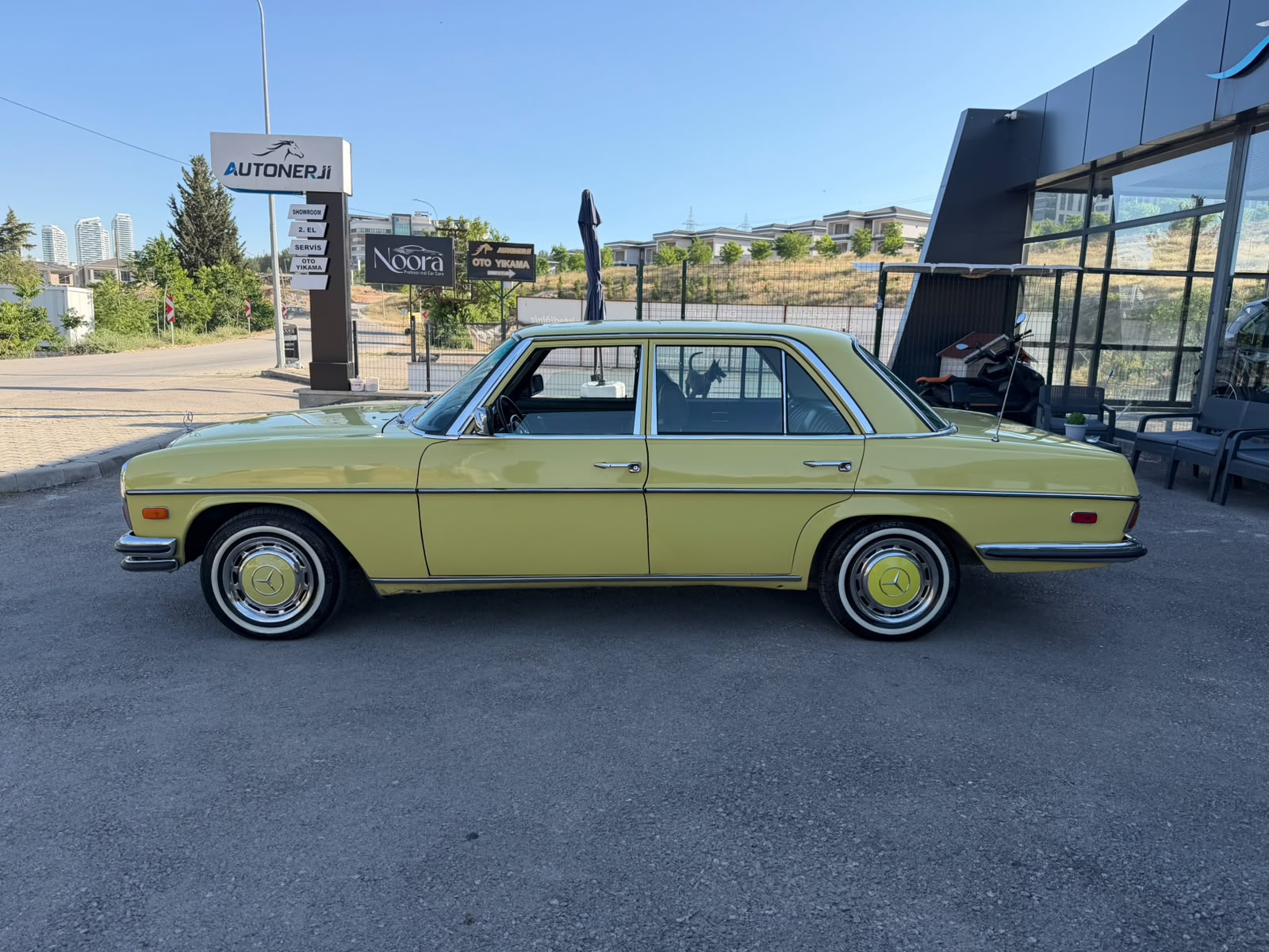 Mercedes Benz W115 KASA 1975 Model Bakımlı SUNROOF